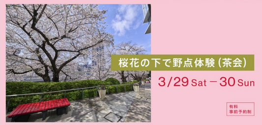 Cherry Blossom Outdoor Tea Ceremony Event Announcement